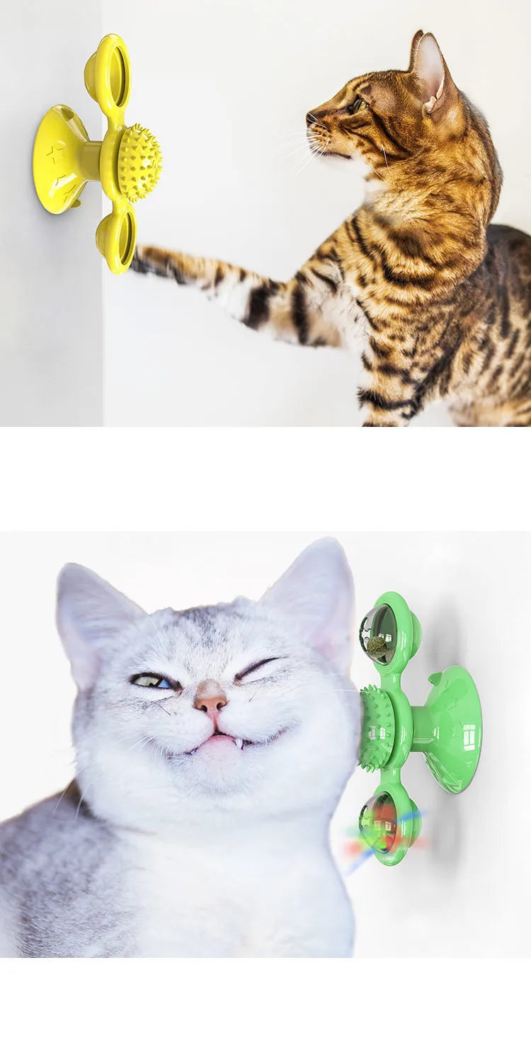 WhirlMint Spinner Toy